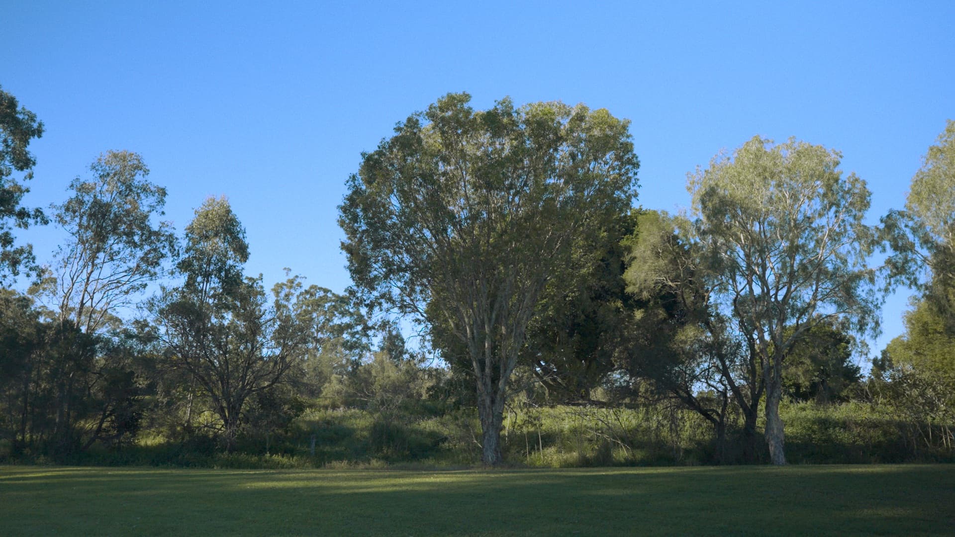 Overtone Festival venue